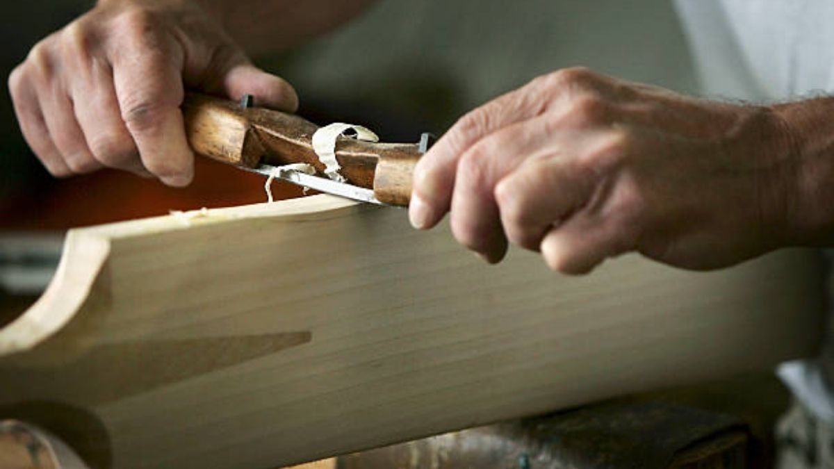 The study suggests Cricket bats should be made from bamboo not willow