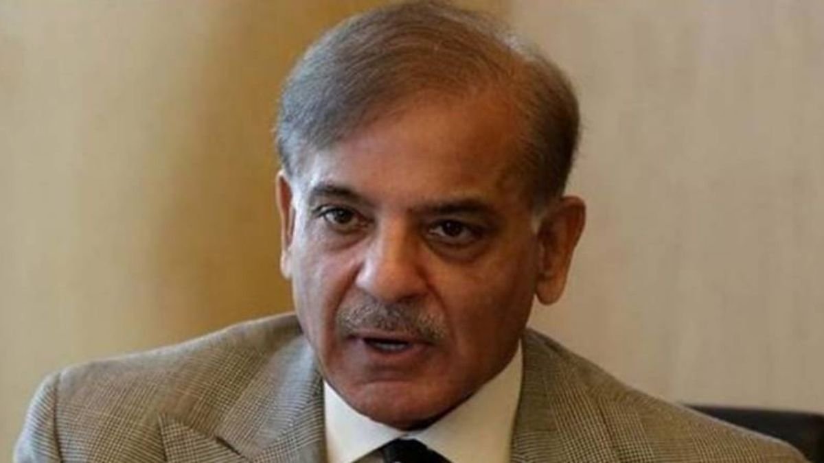 Shehbaz Sharif accused Imran Khan's government for the destruction of Pakistan