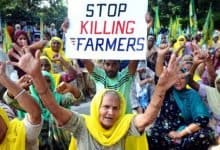 farmers