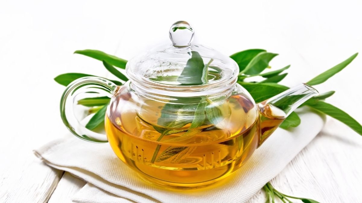 The study finds a cup of green tea helps to fight COVID-19