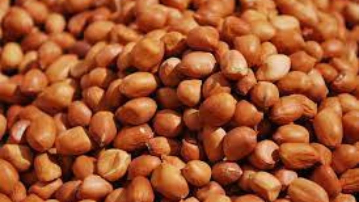 India exports 24 metric tonnes of groundnuts to Nepal