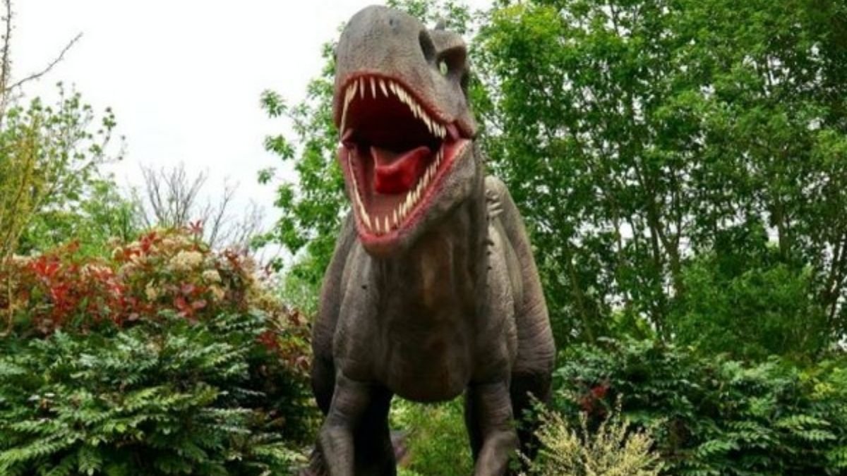 Study shows, Dinosaurs lived in greenhouse climate with hot summers