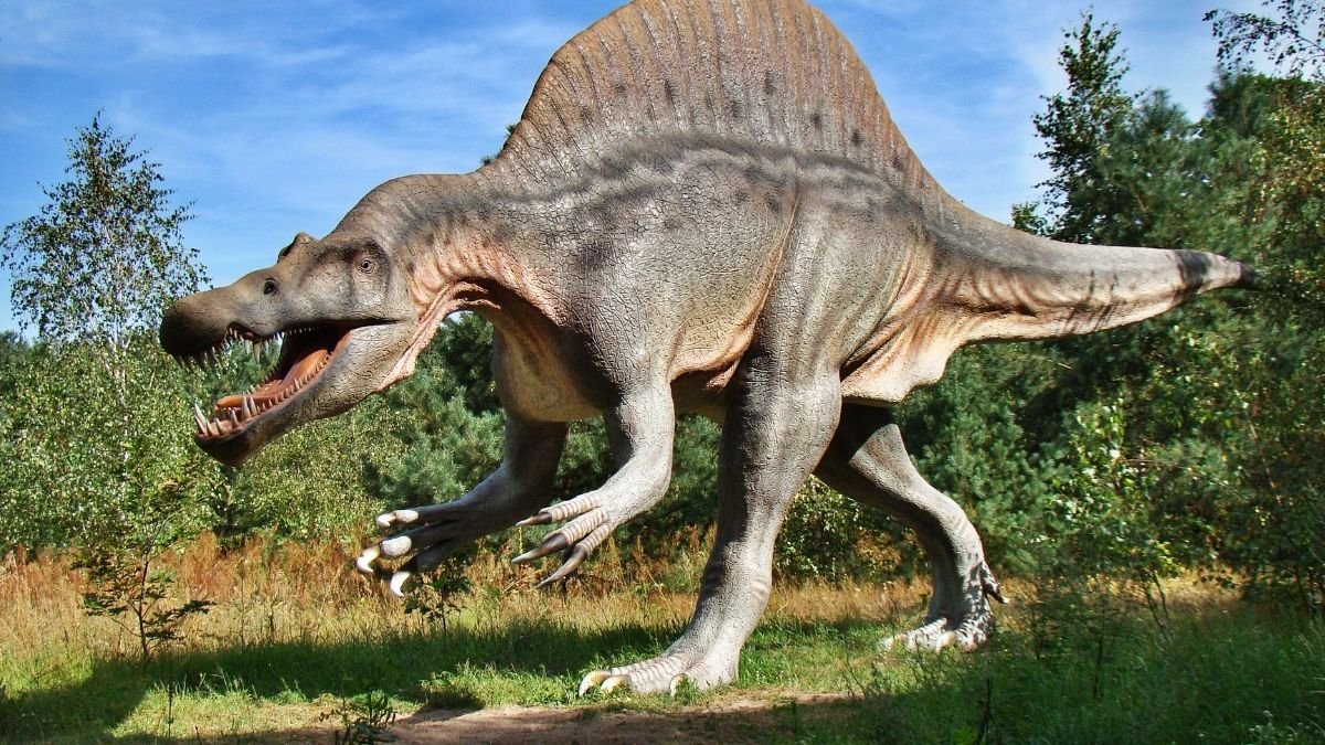 Footprints from 6 dinosaur species discovered in UK's Kent