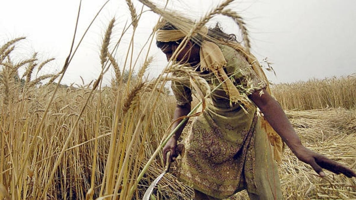Chhattisgarh CM Bhupesh Baghel appeals to farmers to start 'Roka-Chheka' from July 1 to protect Kharif crops