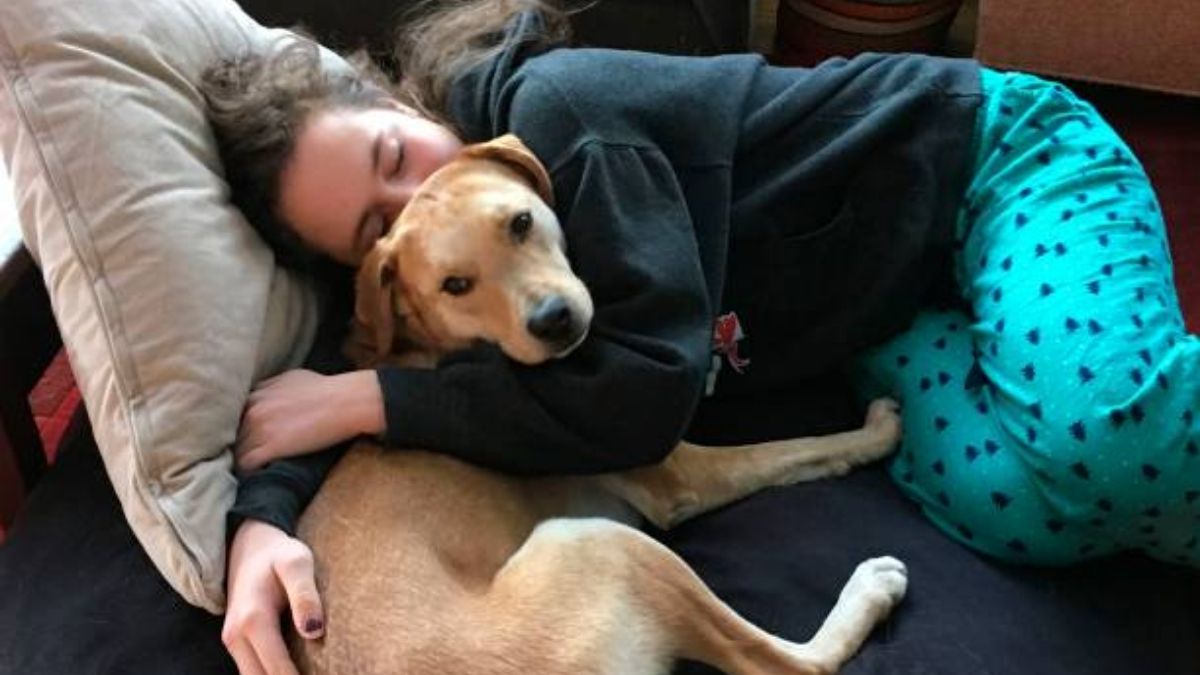 Kids who sleep with their pets still get a good night's rest, Study finds