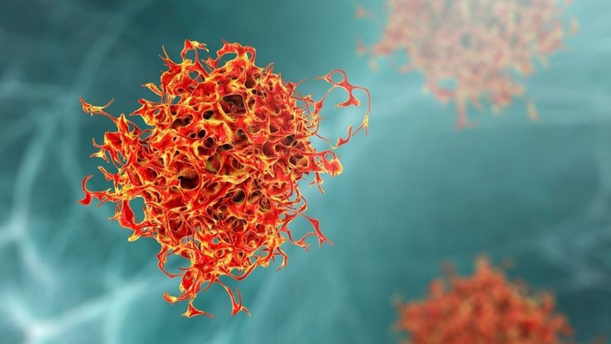 Cancer cells eat themselves to survive: Study