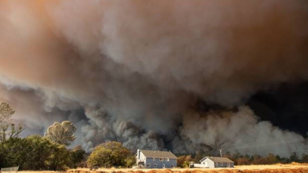 Study links wildfire smoke exposure to increased risk of COVID-19