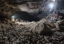 Bed of Bones in Saudi Arabian Cave