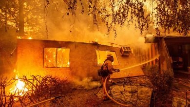 Greece Experiencing Raging Forest Fires: Officials Say Climate Change