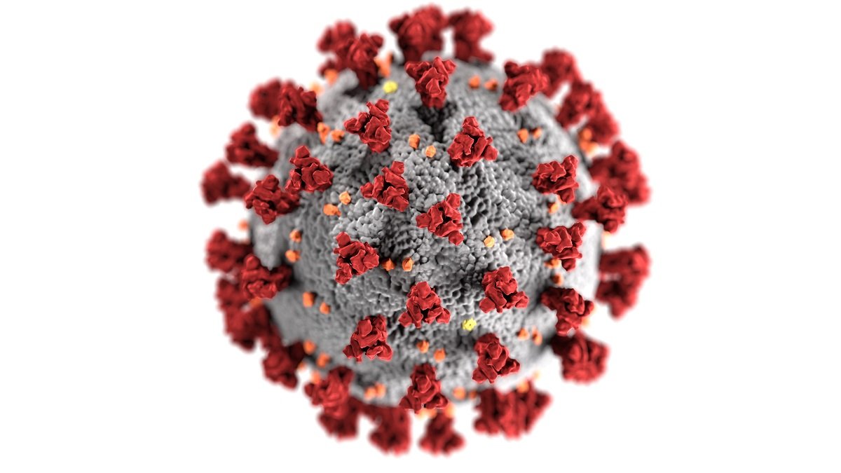 Sydney is seeing the worst outbreak of Delta Variant since the COVID 19 pandemic began.