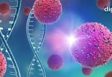 Is COVID-19 a Respiratory Disease or a Vascular Illness, researchers are trying to unravel the truth - Digpu News