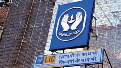 LIC's Rs 1 lakh crore IPO may be split into two