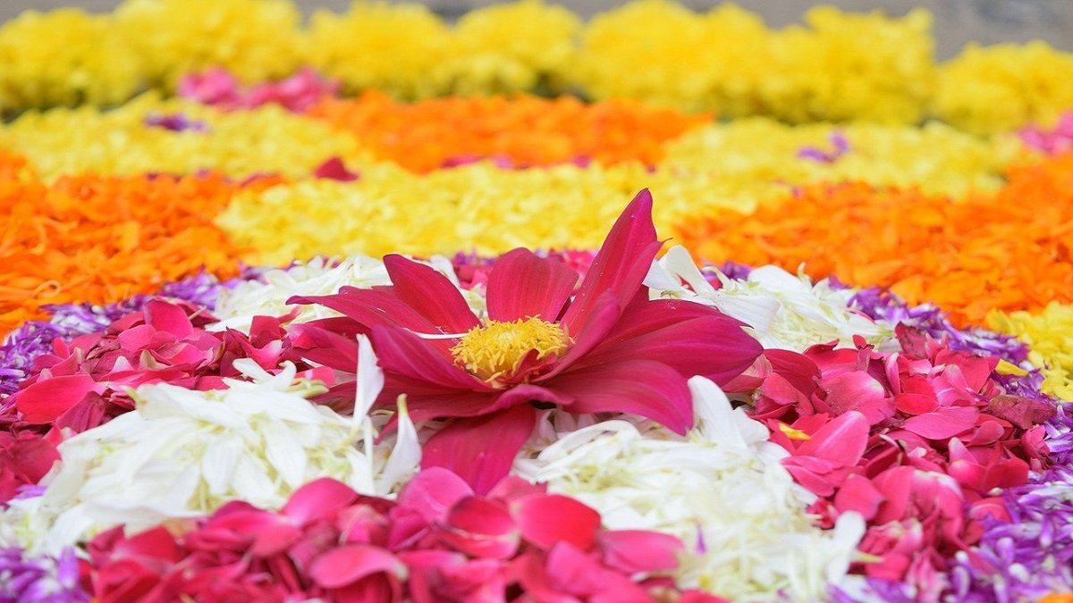 Pinned down by the pandemic, Kerala's Onam revelry logs on to virtual space