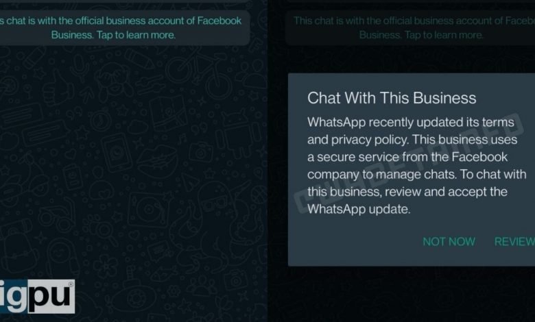 WhatsApp's new Terms of Service