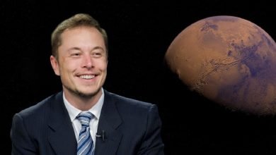 Tesla and Space X founder, Elon Musk, to get a new biography.