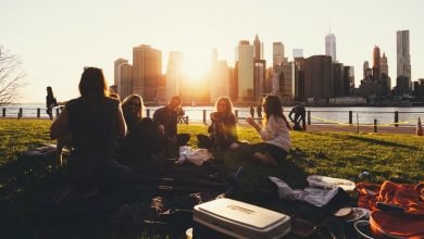 Picnic - Socialize after acute isolation