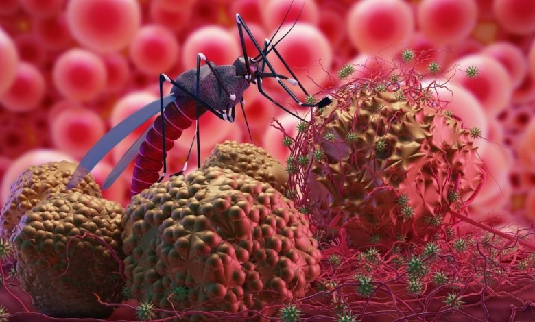 Resurgence of Multi-Drug Resistant Malaria can wreak havoc in South Asia and Africa