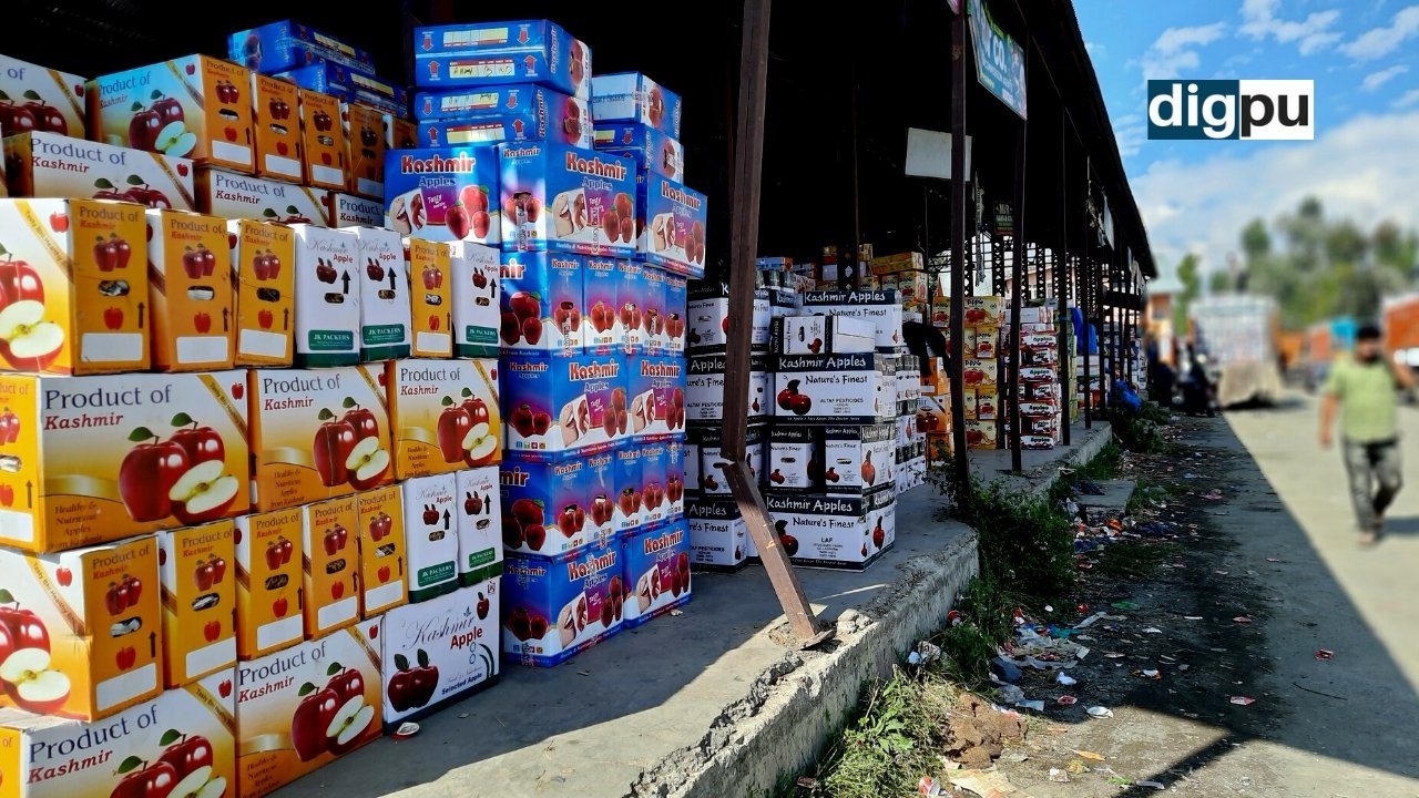 Traditional apple produce is fetching lucrative prices in Kashmir