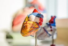 World Heart Day- Healthy lifestyle can preempt future heart ailments - Digpu News