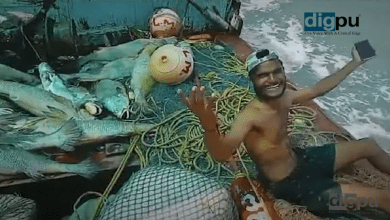 Maharashtra fisherman nets 150 Ghol fish with 'heart of gold'
