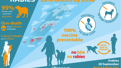 World Rabies Day –September 28, creating better awareness about rabies