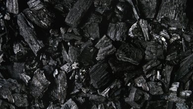 Coal India Limited working harder for the nation – Where are the capitalists now