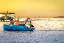 Fishing boat mishaps High-speed marine ambulances to ensure faster response - Digpu News
