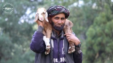 Kashmir valley’s nomad population begins migration to plains