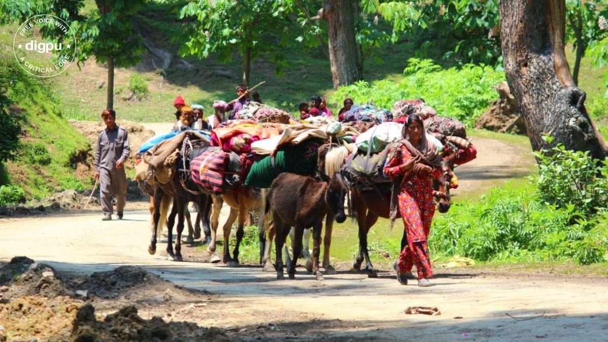 Kashmir valley’s nomad population begins migration to plains