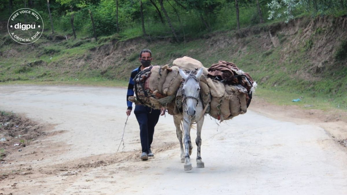 Kashmir valley’s nomad population begins migration to plains