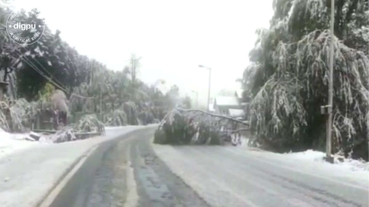 Mughal Road closed due to fresh snowfall
