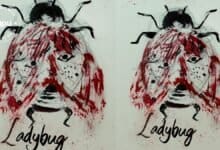 Lady Bug poster