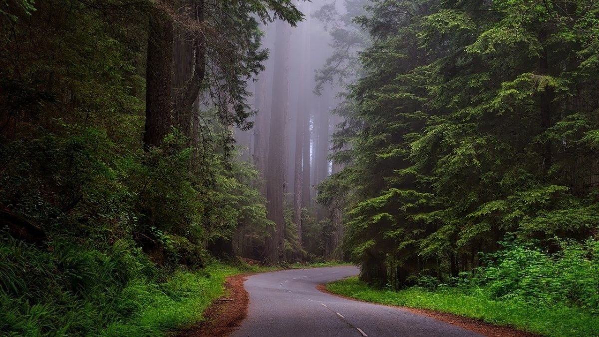 Turning green will improve health and also your fortunes