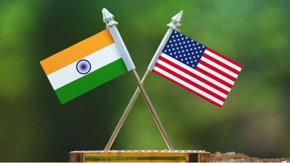 Why capitalism in the United States and India are vastly different?