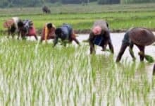 Nabard agritech