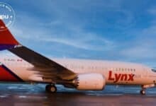 IBS Software Lynx Air