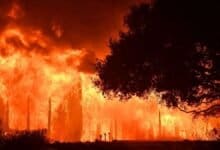 fires