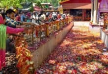 Spring in Kheer Bhawani Temple