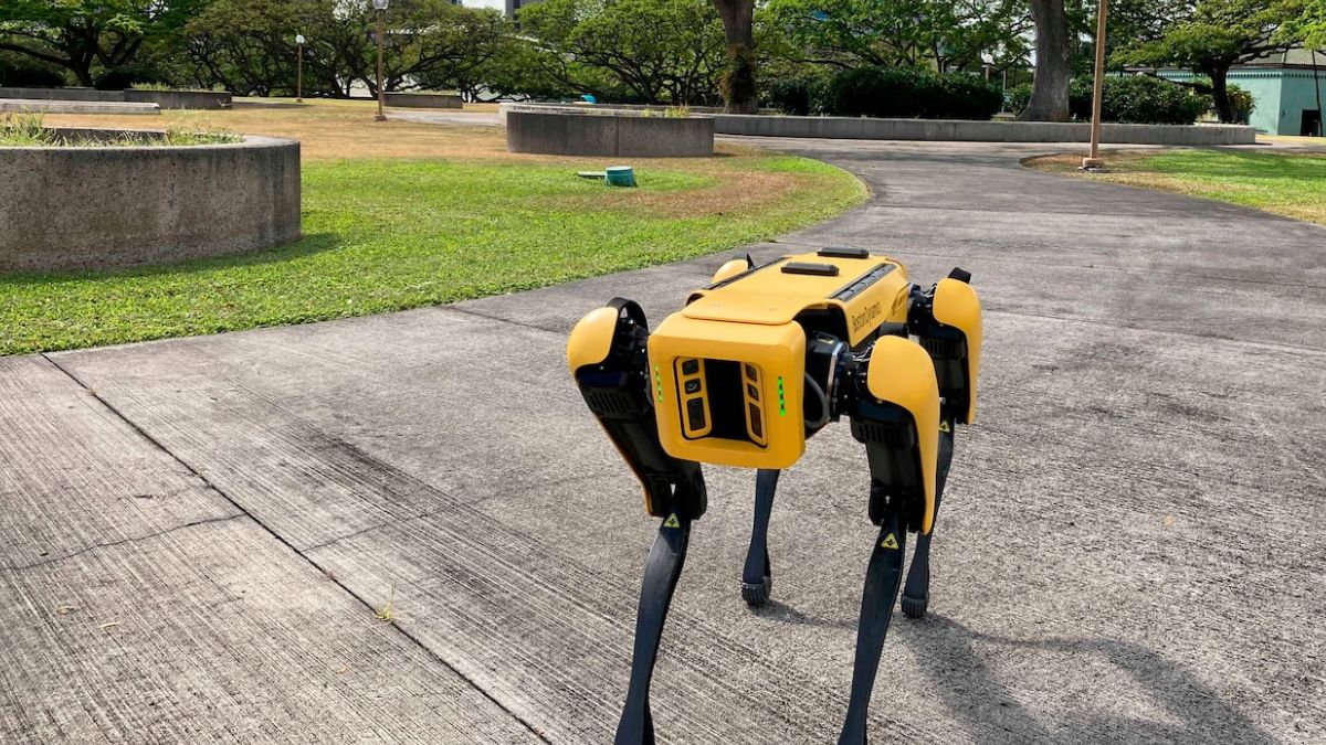 Spot Robot Dog