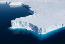 ice shelves