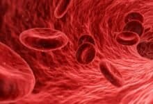 laboratory-grown blood