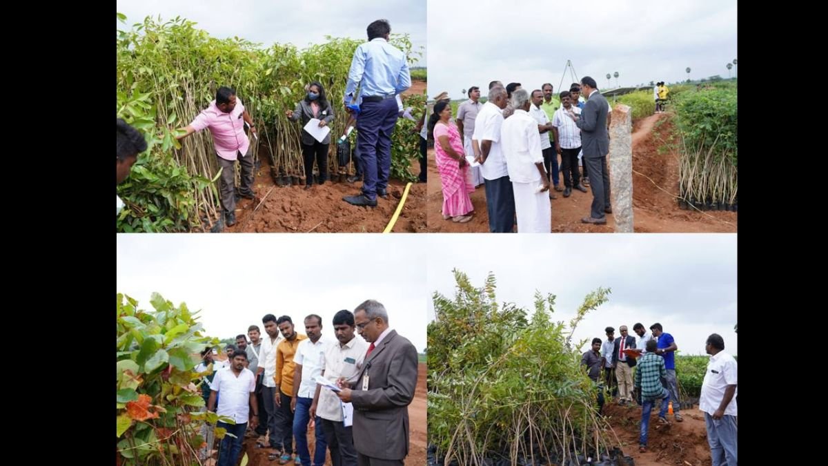 Tamil Nadu’s Food and Civil Supplies Minister R.Sakkarapani and his team have set out to create a new Elite World Records by planting 6 Lakhs trees in just 4 hours