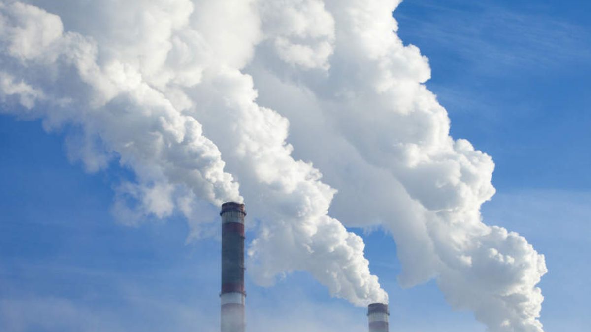 Carbon Dioxide Can Credibly Be Removed From Air
