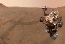 selfie Rover