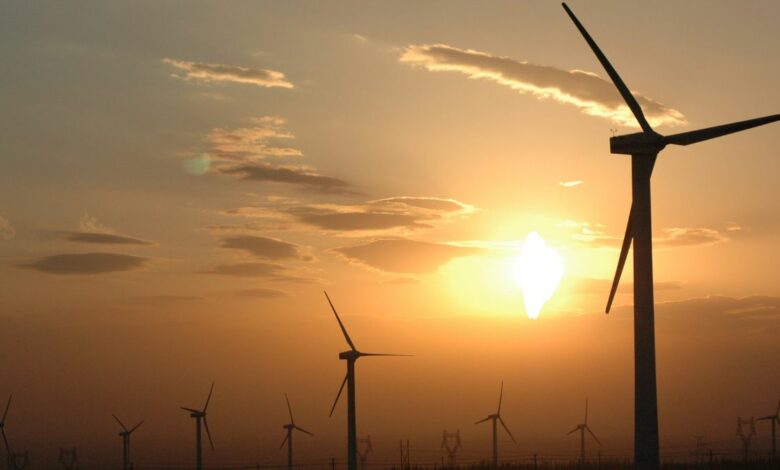 wind power Tamil Nadu
