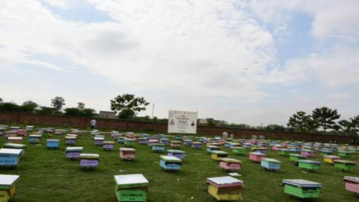 Chairman KVIC Distributes Margin Money Grants and Bee Boxes in Kaithal, Haryana