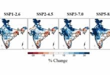 Hydroclimate extremes will be more intensified in near-future over the Indian River Basins (IRBs)