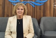 UN Rapporteur Mary Lawlor Decries Arms Sales to Israel as 'War on Human Rights