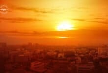 Delhi Records Highest-Ever Temperature Amid Severe Heatwave: 49.9 Degrees Celsius