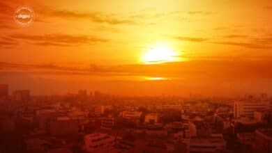 Delhi Records Highest-Ever Temperature Amid Severe Heatwave: 49.9 Degrees Celsius